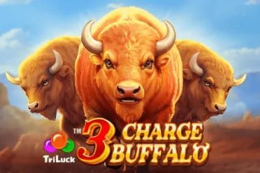 চট্টগ্রামে bets.in স্পোর্টস গাইডের মূল ব্যানার